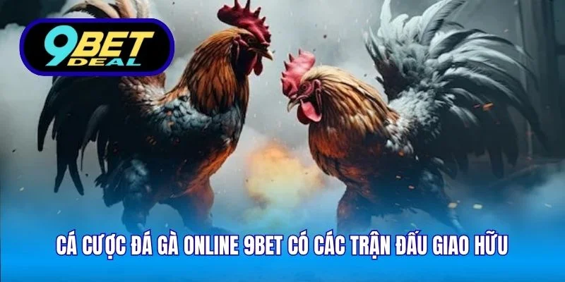 Cá cược đá gà online 9Bet có các trận đấu giao hữu 