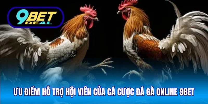 Ưu điểm hỗ trợ hội viên của cá cược đá gà online 9Bet